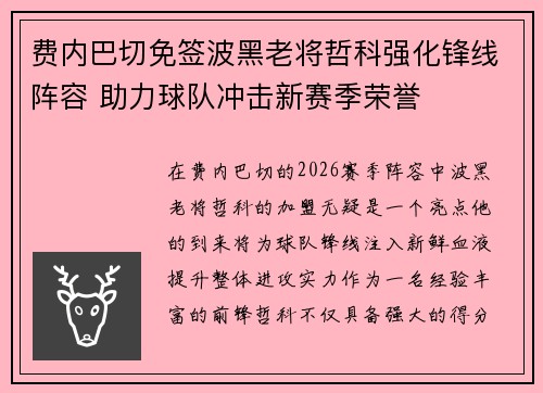 费内巴切免签波黑老将哲科强化锋线阵容 助力球队冲击新赛季荣誉